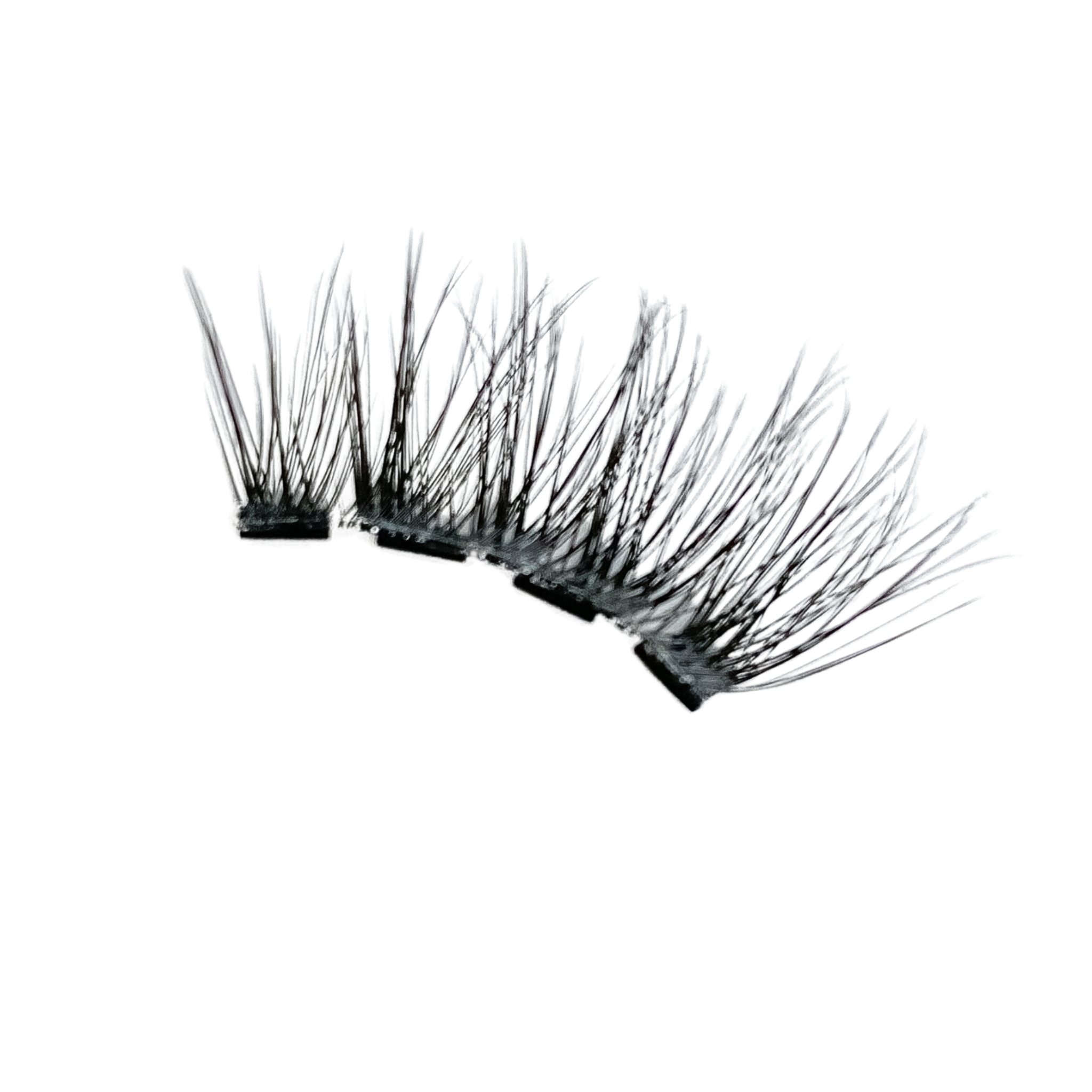 Magnetic Eyelashes