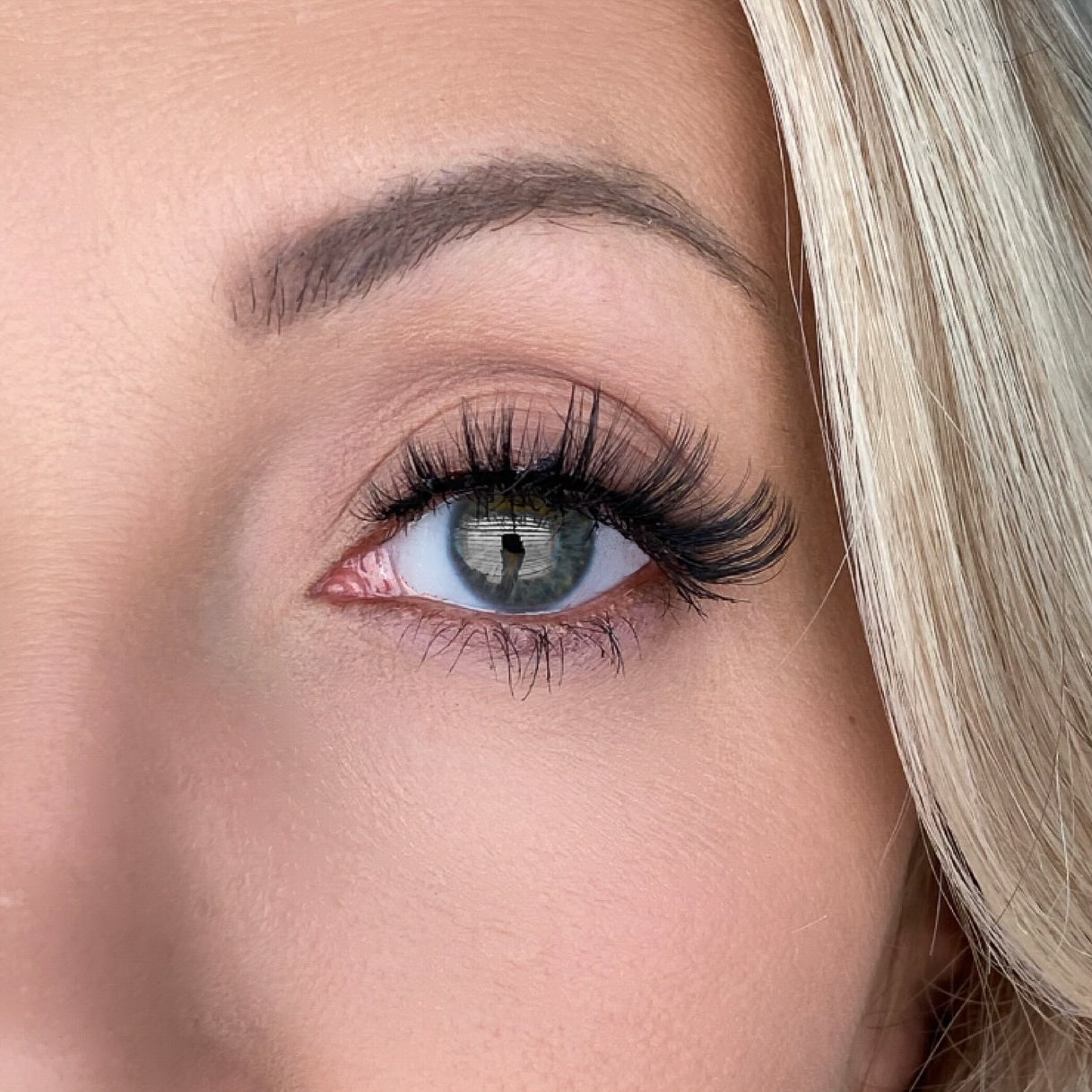 Hollaback Curl 3D Magnetic False Eyelashes - Premium Reusable Magnetic Eyelashes. 100% Cruelty-Free & Vegan Fibers. Sustainably Packaged. Compostable Trays.