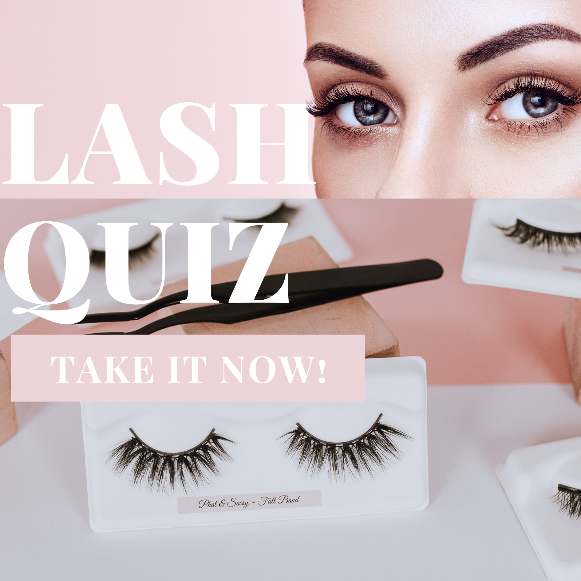 Lash Finder Quiz