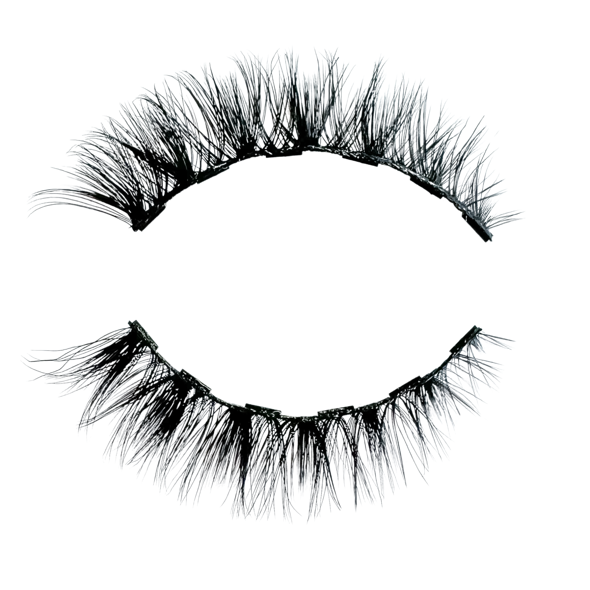 Posh 3D Magnetic Eyelashes - Premium Reusable Magnetic Eyelashes. 100% Cruelty-Free & Vegan Fibers. Sustainably Packaged. Compostable Trays.