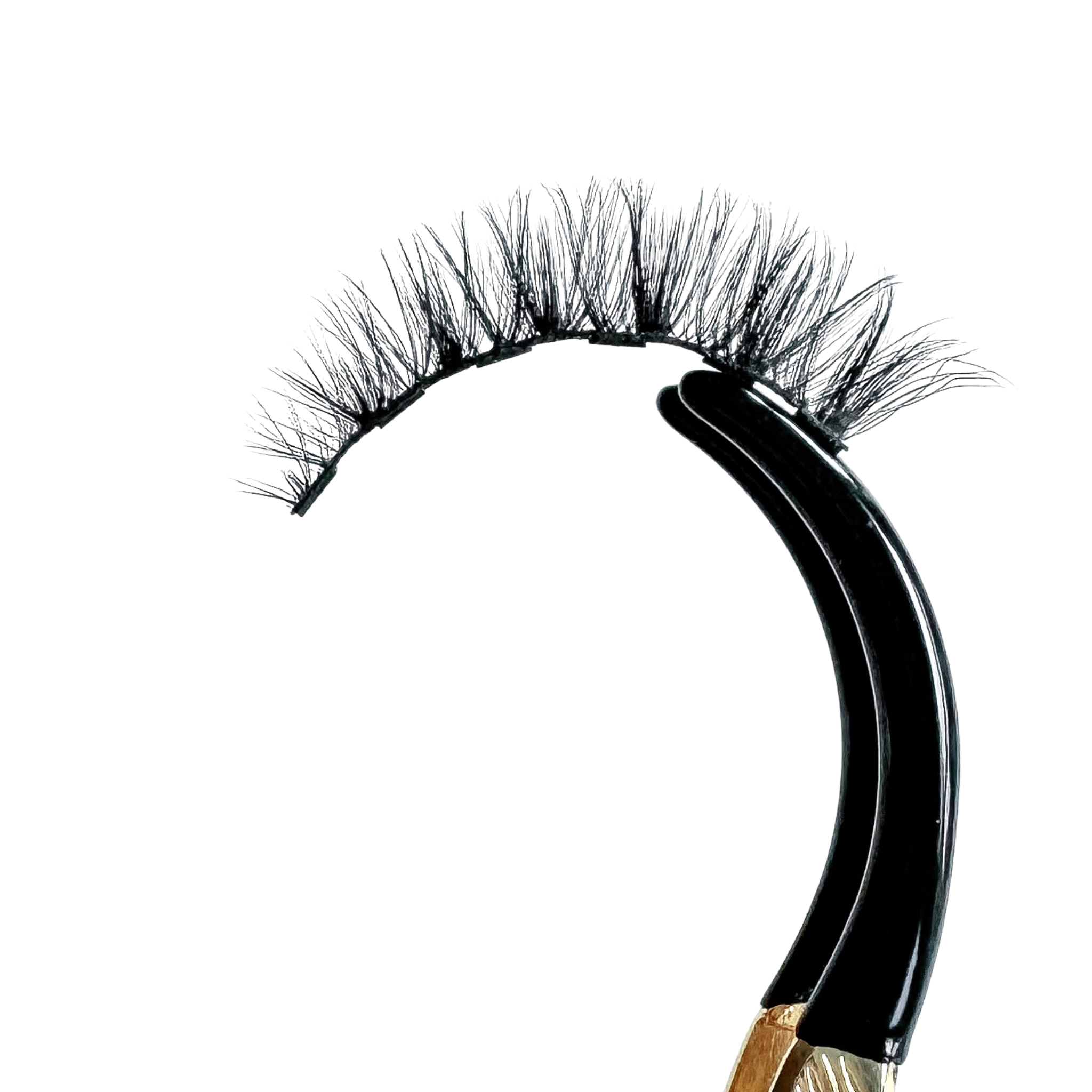 Posh 3D Magnetic Eyelashes - Premium Reusable Magnetic Eyelashes. 100% Cruelty-Free & Vegan Fibers. Sustainably Packaged. Compostable Trays.