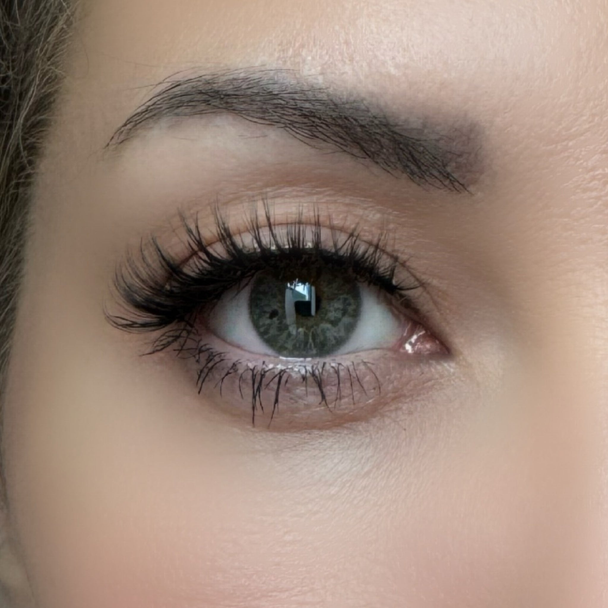 Posh 3D Magnetic Eyelashes - Premium Reusable Magnetic Eyelashes. 100% Cruelty-Free & Vegan Fibers. Sustainably Packaged. Compostable Trays.