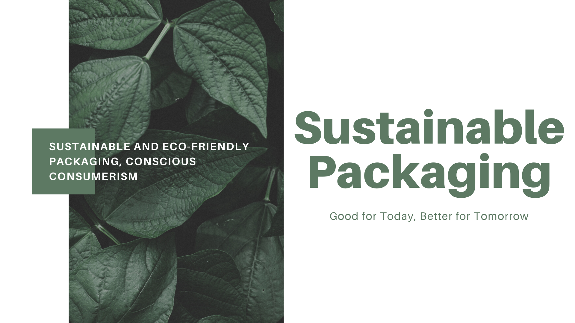 Sustainable Packaging & Conscious Consumerism