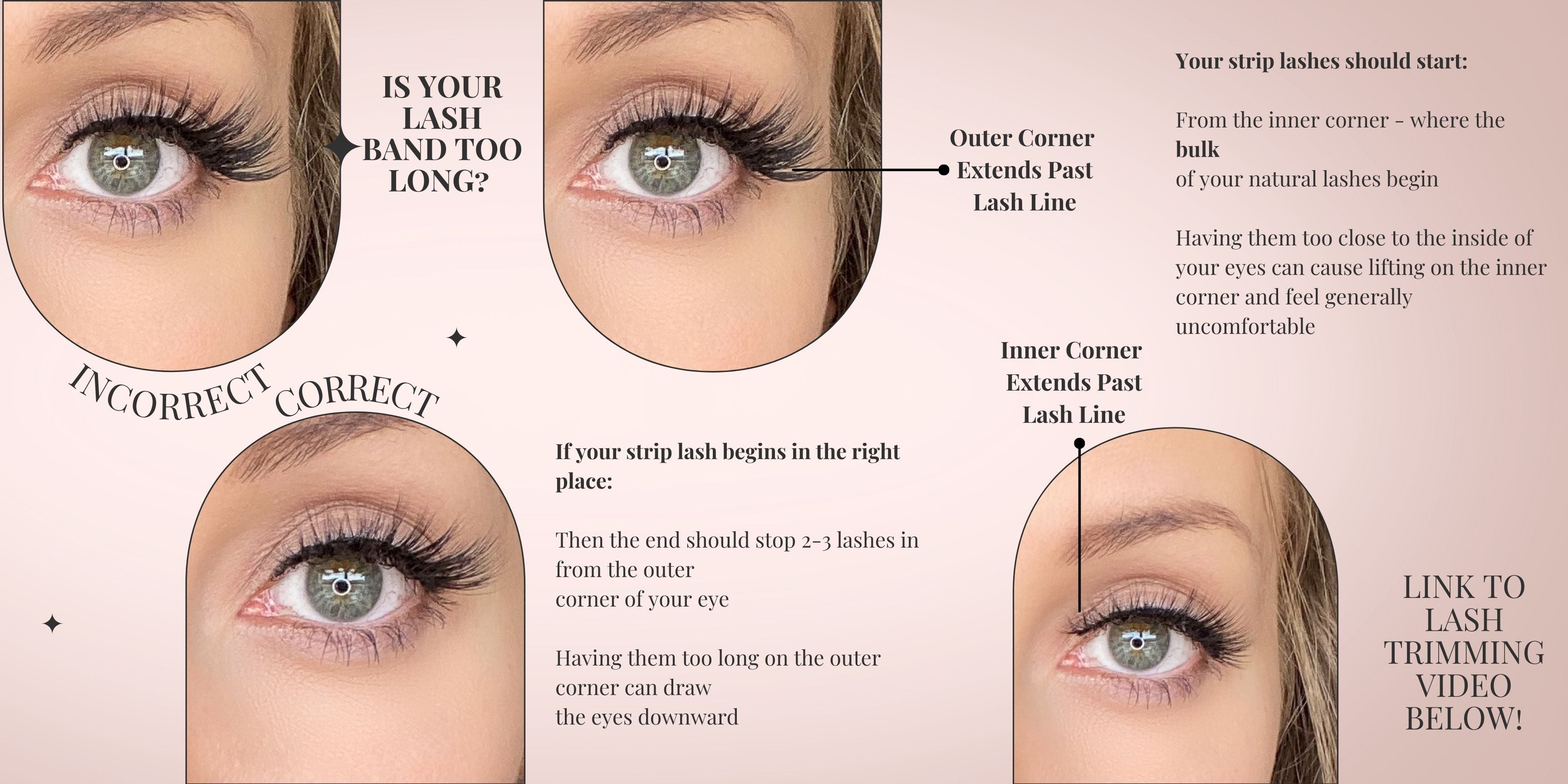 Magnetic Eyeliner and Lash Application Library | QMBeautique